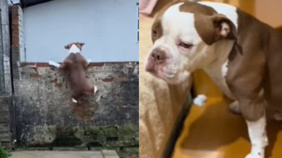 Reprodução / Instagram