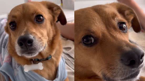 Reprodução | Redes Sociais