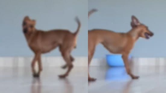 Reprodução / Instagram
