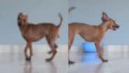 Reprodução / Instagram