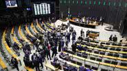 Zeca Ribeiro / Câmara dos Deputados