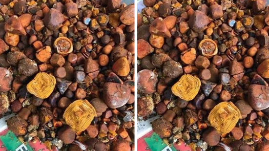 Reprodução | Site Pedra de Fel