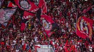 Paula Reis/Flamengo