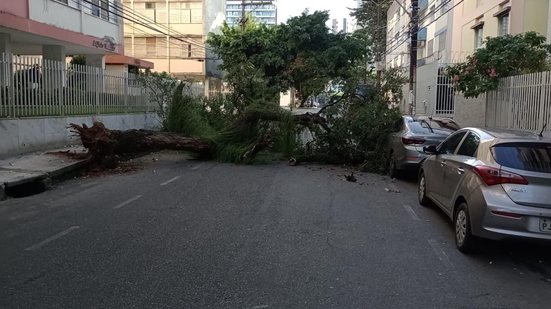 Divulgação | Transalvador