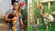 Reprodução Redes Sociais