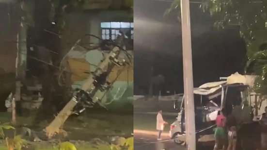 Reprodução