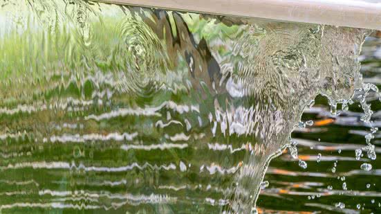 Divulgação / Pixabay