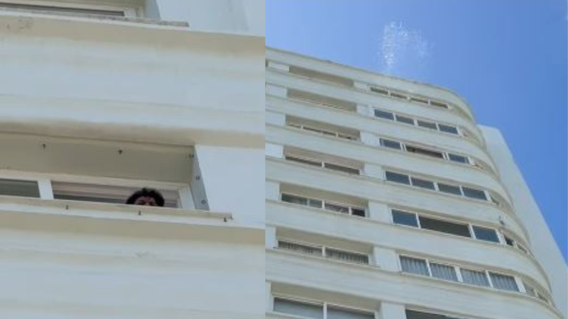 Reprodução