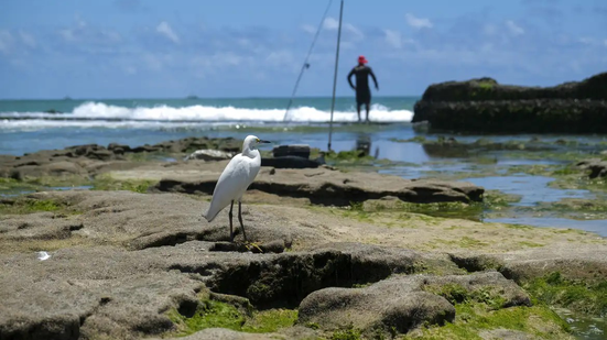Fernando Frazão/Agência Brasil