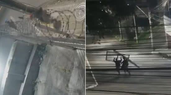 Reprodução