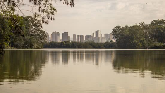 Divulgação / Pixabay