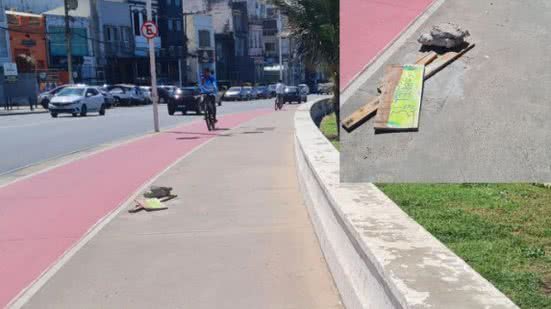 Divulgação / Instagram: @blogdoriovermelho
