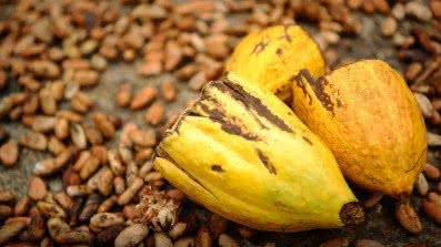 Agência Brasil/Tomaz Silva