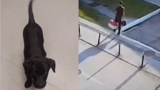 Polícia Civil - SC