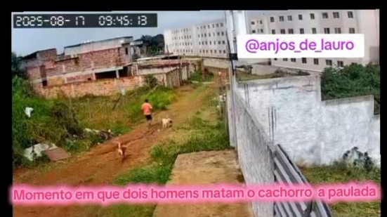 Reprodução
