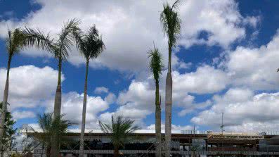 Fabiola Sinimbú/Agência Brasil