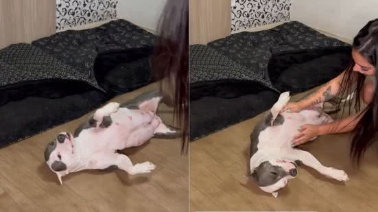 Reprodução/Redes Sociais