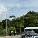 Reprodução/Ascom-PC/Haeckel Dias