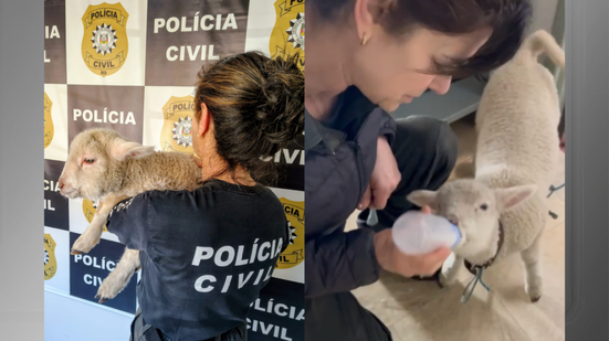 Divulgação Policia Civil