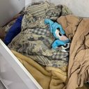 Reprodução / redes sociais