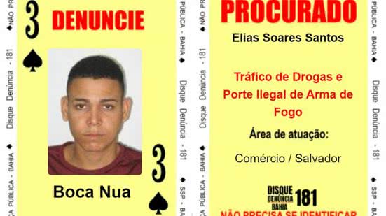 Divulgação