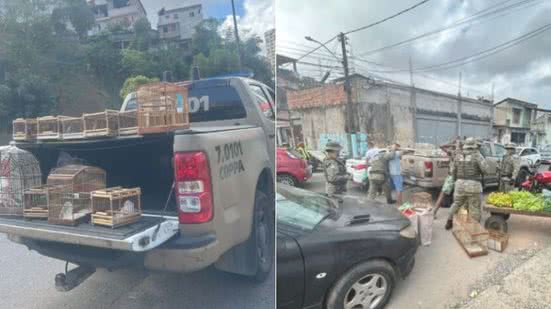 Divulgação/PM
