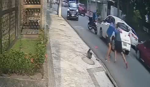 Reprodução | Redes Sociais