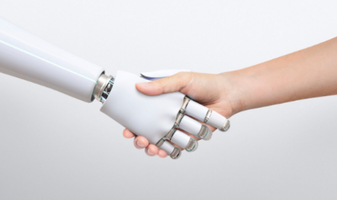 Divulgação / Freepik