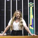 Kayo Magalhães/Câmara dos Deputados