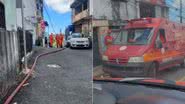 Dandara Amorim | BNews