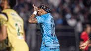 Raul Baretta/ Santos FC.
