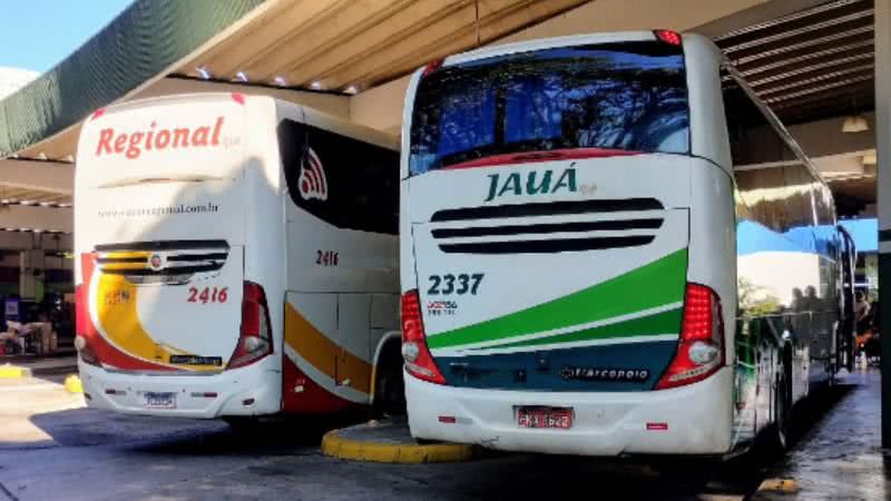 Reprodução/Instagram/@viacaoregional