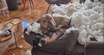 Reprodução / Instagram