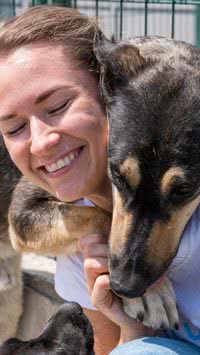 Médico-veterinário revela o que pets fazem em momentos finais de vida: "me quebrou"; confira relato