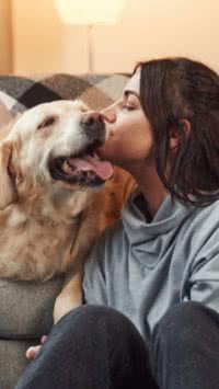 Estudos apontam impactos na saúde física e mental humana por convívio com pets; veja