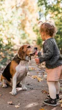 Estudo aponta qual faixa etária mais atingida em acidentes com cães