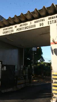 Centenas de gatos estão 'detidos' em presídio de Salvador; entenda caso