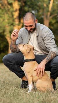 5 dicas para adestrar o seu cão em casa