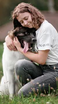 Carinho! Veja como notar sinais de que o seu pet está com saudade