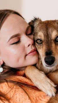 Fases da vida: Cachorro tem adolescência?