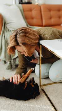 Adestrador lista coisas que o cachorro faz que demonstram que ele confia no dono
