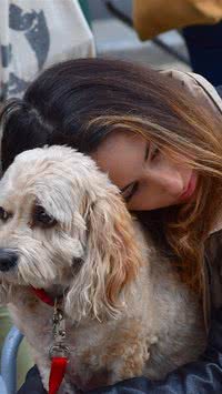 Descubra coisas que os humanos fazem e os cães odeiam; você irrita seu pet?