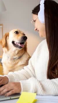 Animais de estimação no ambiente de trabalho ajudam empresas, diz pesquisa