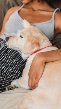 Preocupados! Tutores de pets perdem mais horas de sono do que o 'normal'