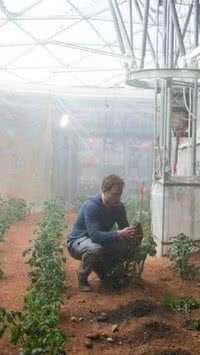 Perdido em Marte: é possível cultivar plantas no espaço?