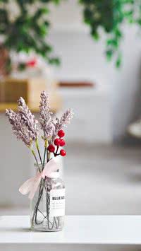Para deixar a casa perfumada! Confira quais as flores mais cheirosas