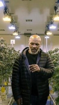 Ex-boxeador aposta na cannabis para evoluir negócios em Nova York