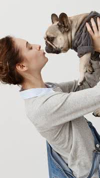 Veja os pets que mais são apegados aos seus donos