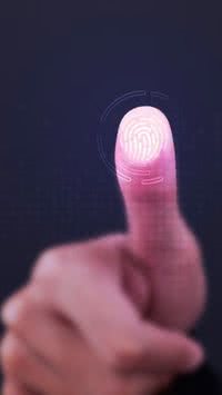 Por que temos impressões digitais?