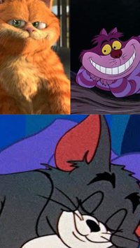 Confira as raças reais desses gatos de desenhos animados
